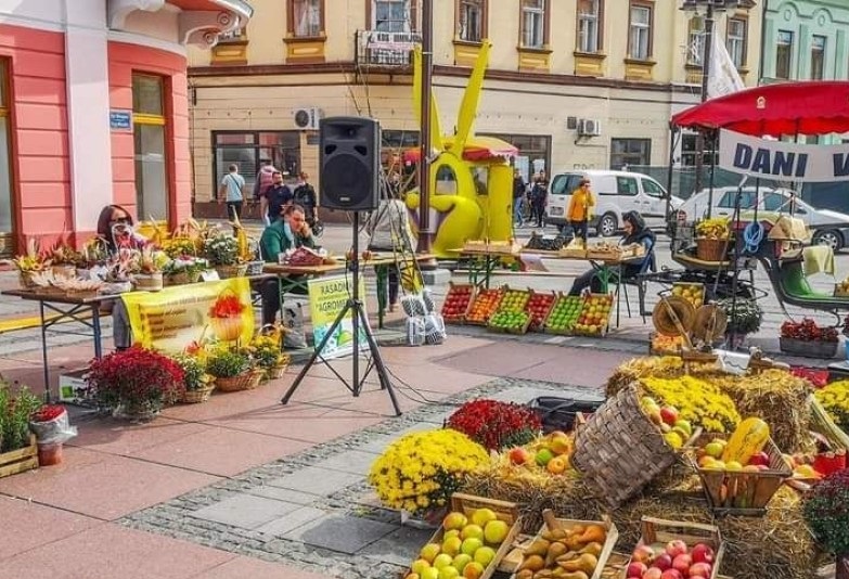Brčko: Otvorena manifestacija “Dani voća”